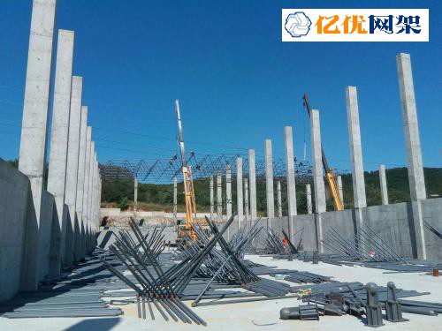 晋州料棚网架设计